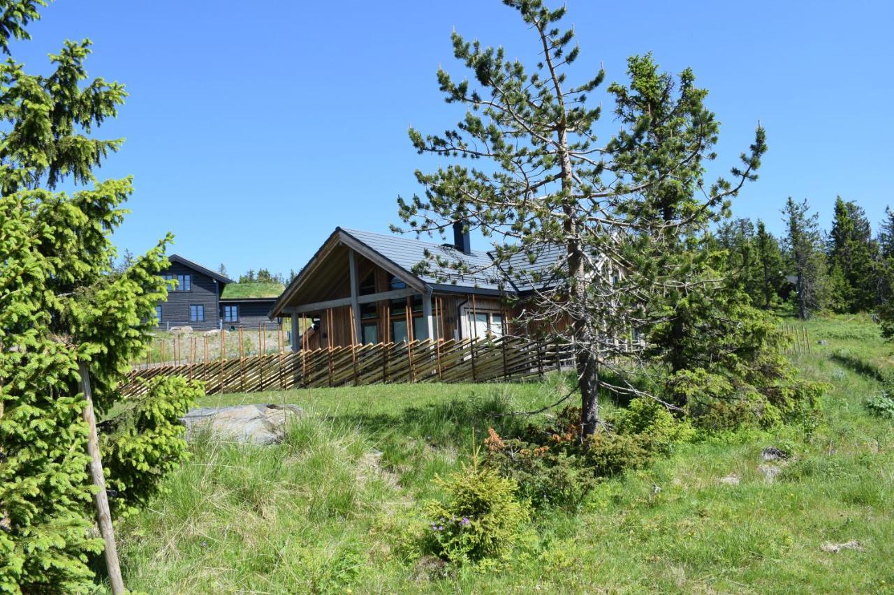 Skeikampen Booking Svingvoll Extérieur photo