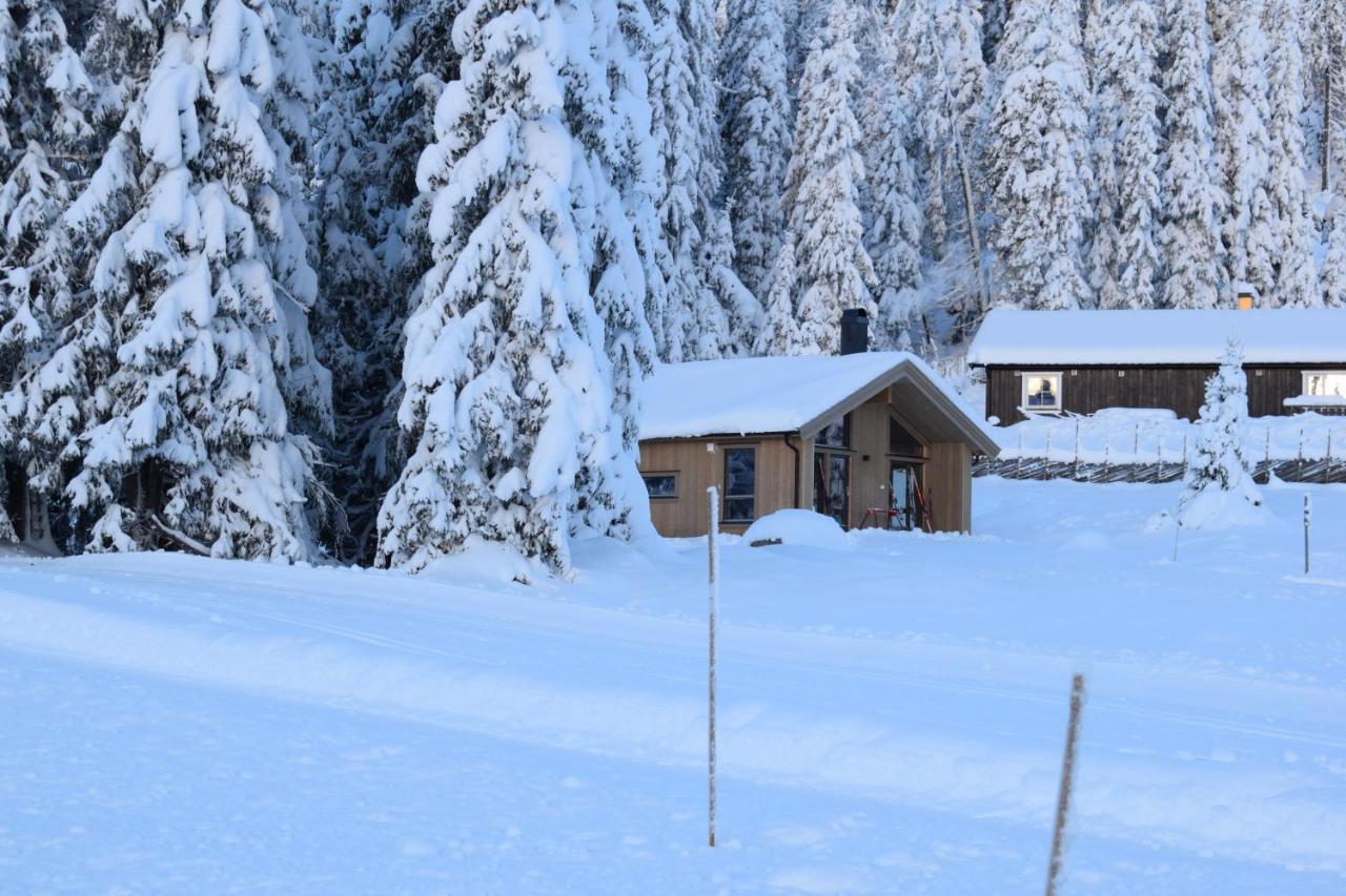 Skeikampen Booking Svingvoll Extérieur photo