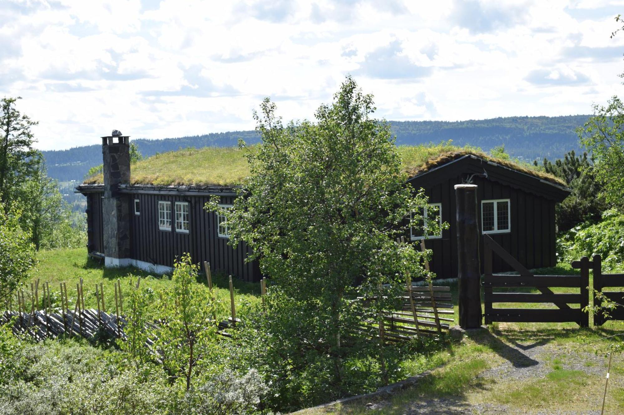 Skeikampen Booking Svingvoll Extérieur photo